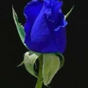 Meet your Posher, Thelma